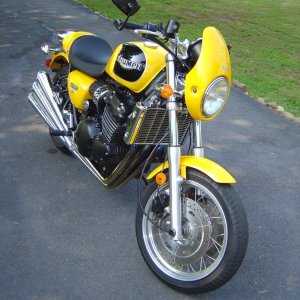 Bumble Bee 004