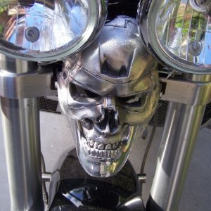 Horn cover/fogger