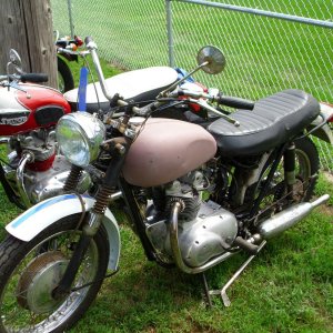 Bike Show