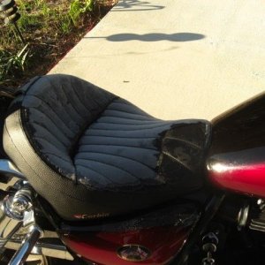 Florida frozen biking