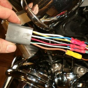 Triumph harness replacement