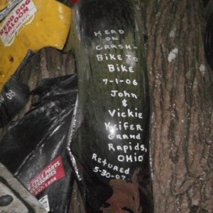 Tree of Shame