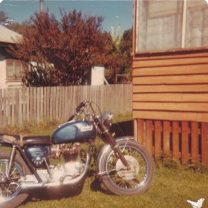 1969 TR6 early 1979