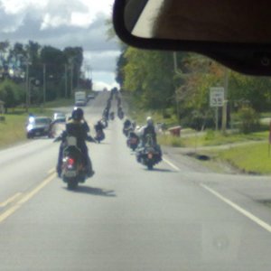 Dads escort
