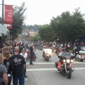 bikes blues and bbq