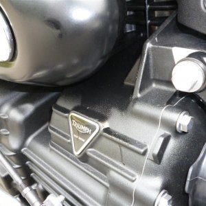 Oil Leak