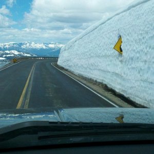 mountians 264