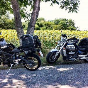 Pitstop about halfway between Wien (Vienna) and Bratislava or b/n Bratislav