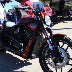 Orange Harley