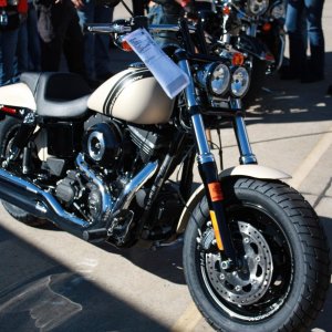 bland Harley