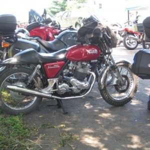 Norton