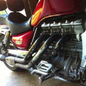 Predator exhaust system