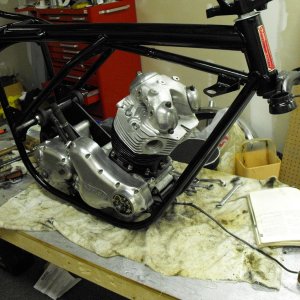 Another project coming along