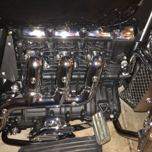 2300cc of Beast