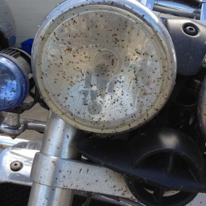 IMG 01641