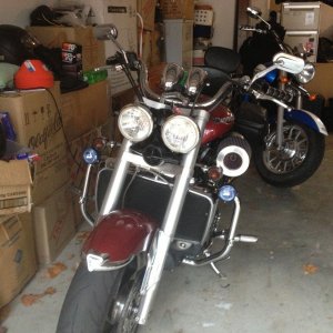 IMG 05551