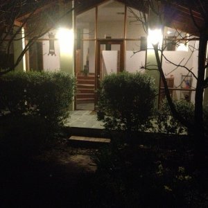 IMG 0724