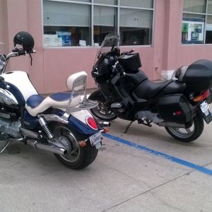 Beemer and the Beast
