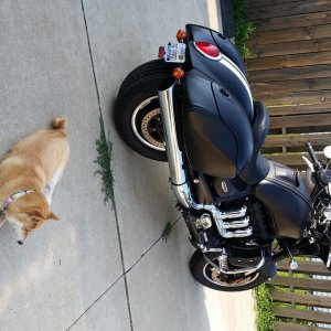 miabike