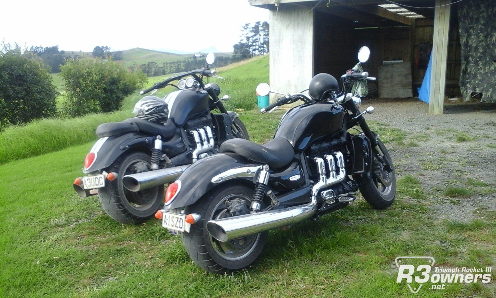 2014 my brothers   2010 mine