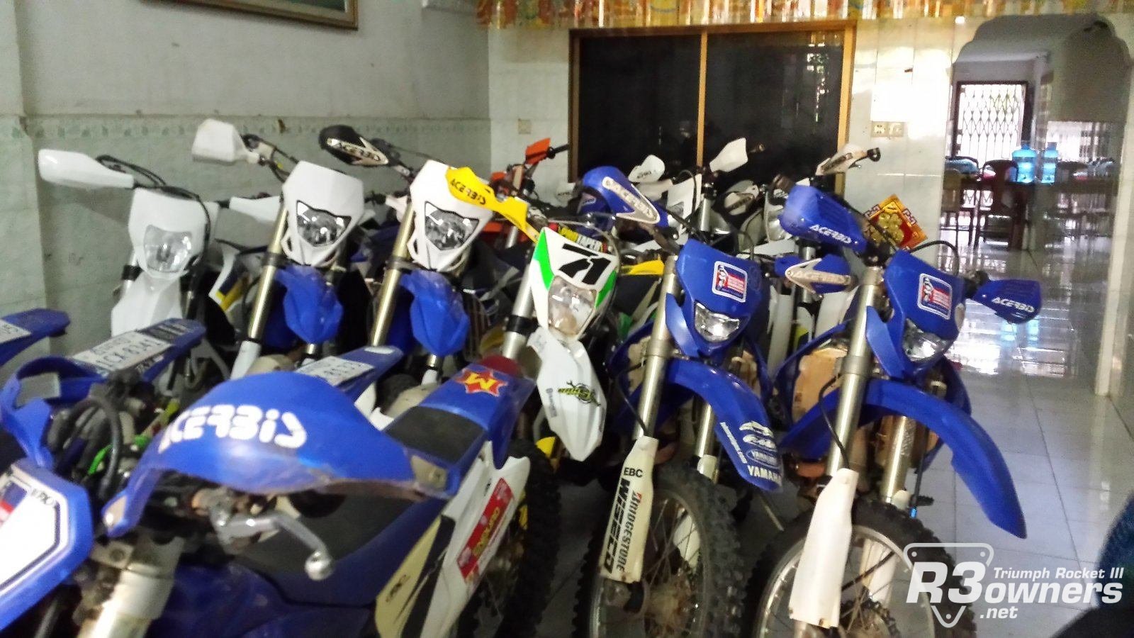 Our trusty Steeds