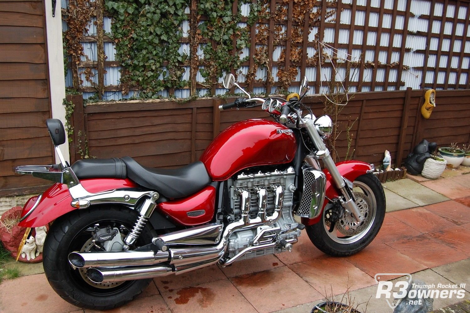 Triumph 2 005