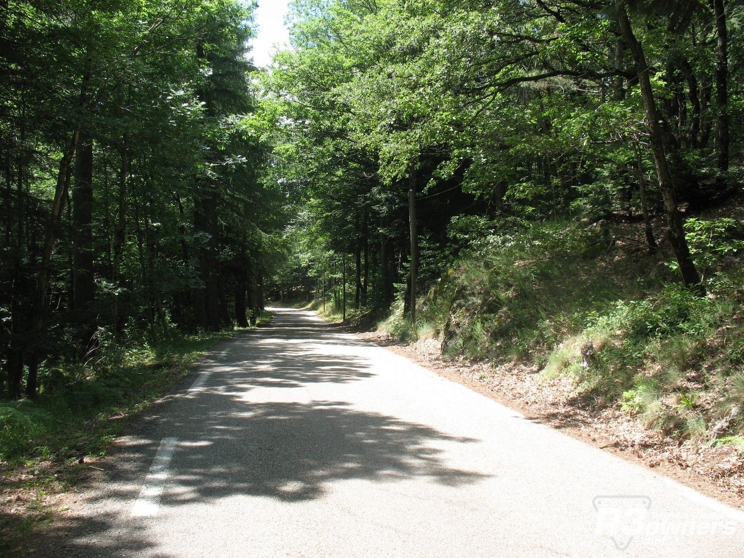 typical mountain road