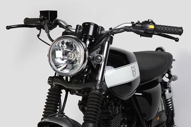 Mutt-GT-SS-03.JPG