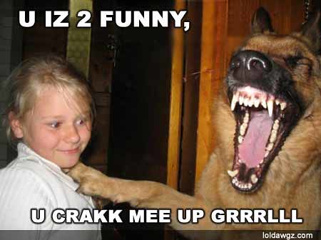 1445003927_bff304f31c.jpg