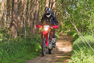 crf300-rally-raid-01.jpg