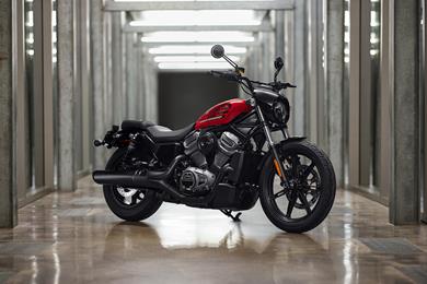 Harley_Nightster_9.jpg