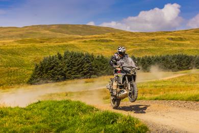 sweet-lamb-ducati-3.jpg