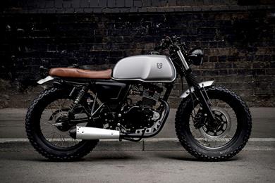 mutt-akita-125-4.jpg