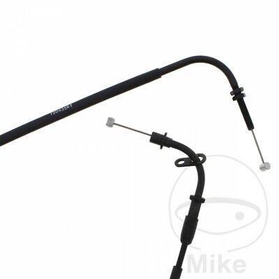 www.ebay.com.au
