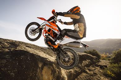 ktm-690-my25-2.jpg