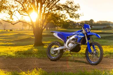 yamaha_lockable_ecu_9.jpg