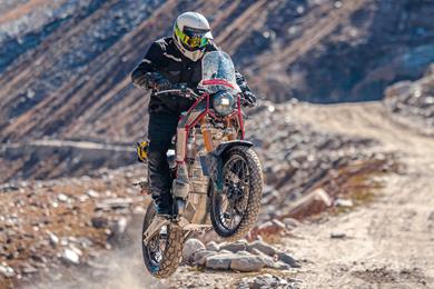 electric_himalayan_37.jpg