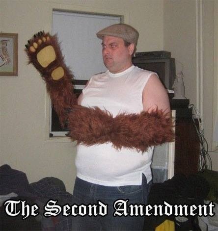 the-right-to-bear-arms