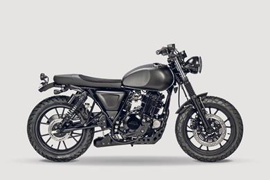 Mutt_FSR_250_1.jpg