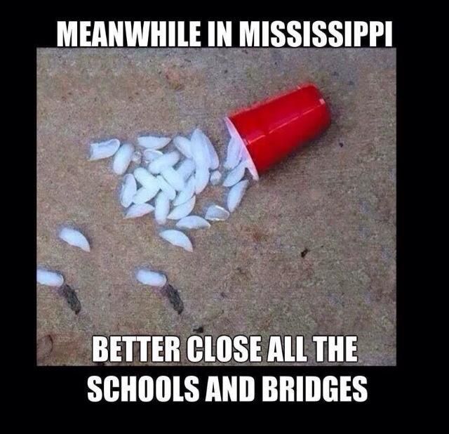 50646513e08f0596ce8b666ee43a2e32--memes-snow.jpg
