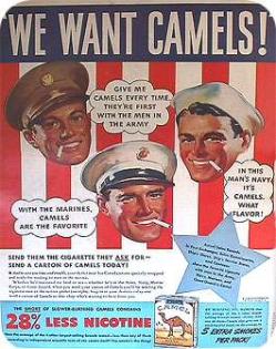 40camel7-249x315.jpg