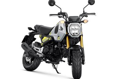 Honda-MSX125-Grom-06.jpg