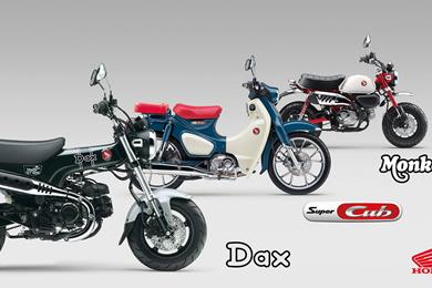 honda-dax-monkey-cub-7.jpg