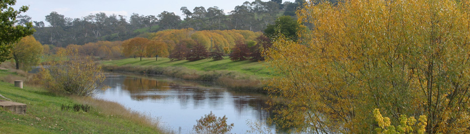 Bombala07A.jpg