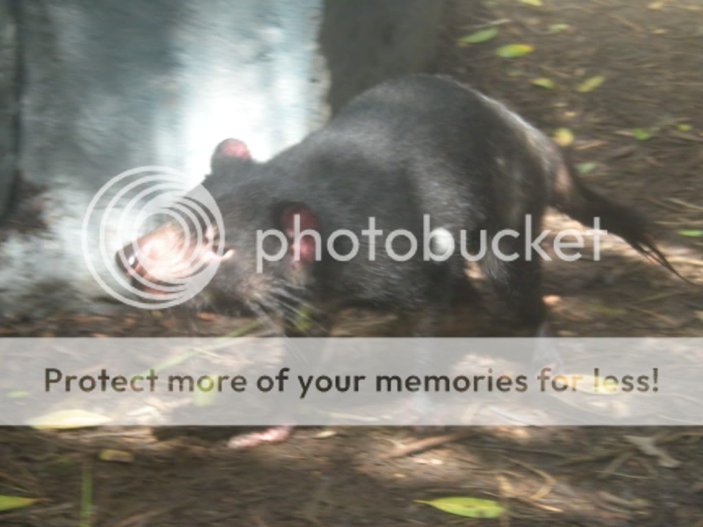 DSCN3833.jpg