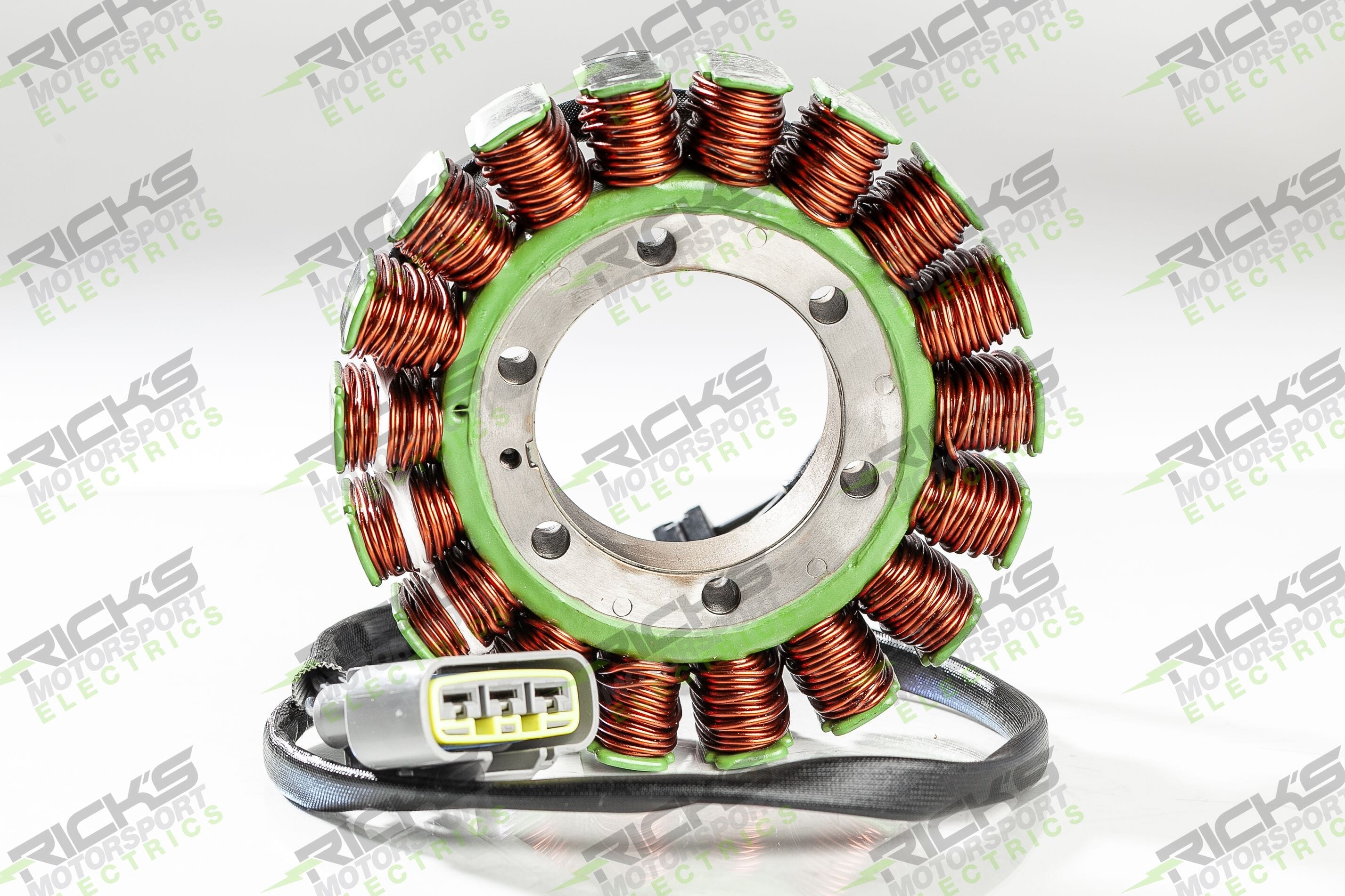 ricksmotorsportelectrics.com