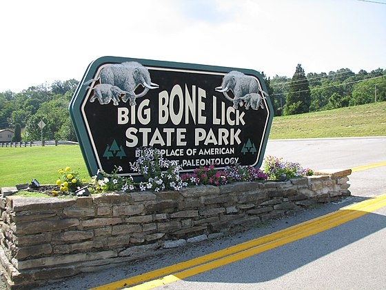 560px-Bigbonelick.jpg