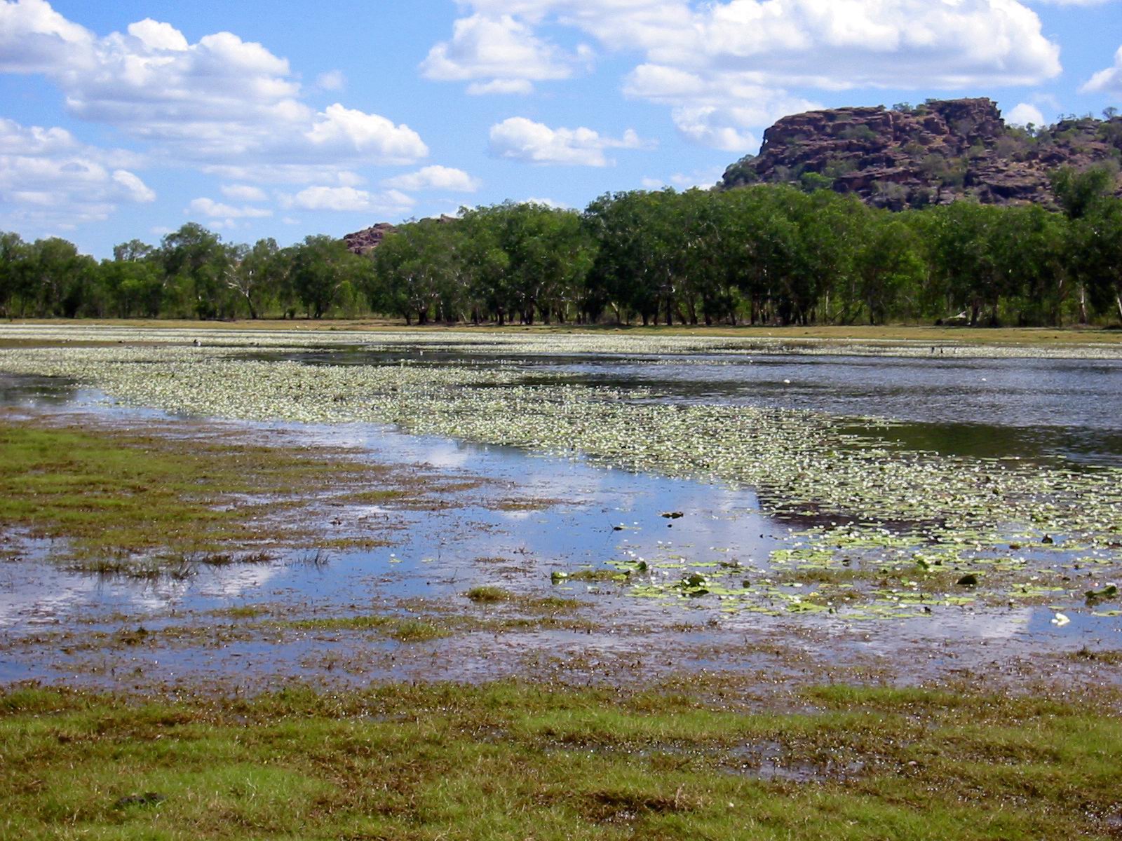 Anbangbang_Billabong_Australia.jpg