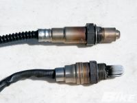 AF%20Basics%202.jpg