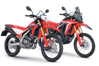 Honda-crf300l-pair.jpg
